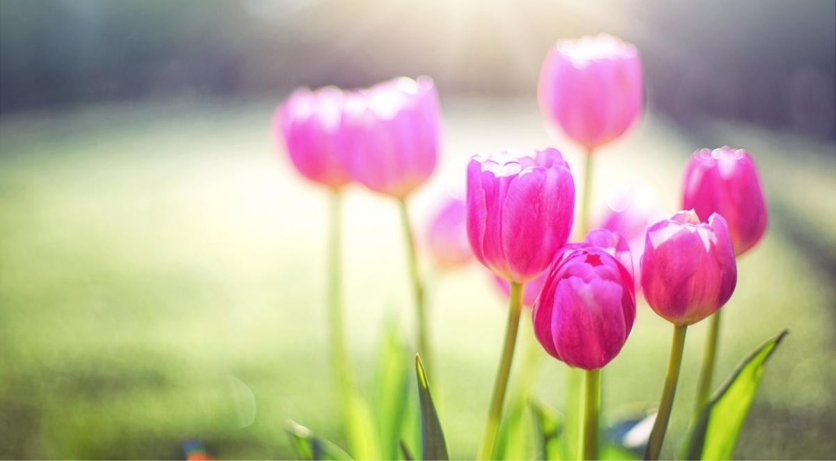 plan your spring retreat