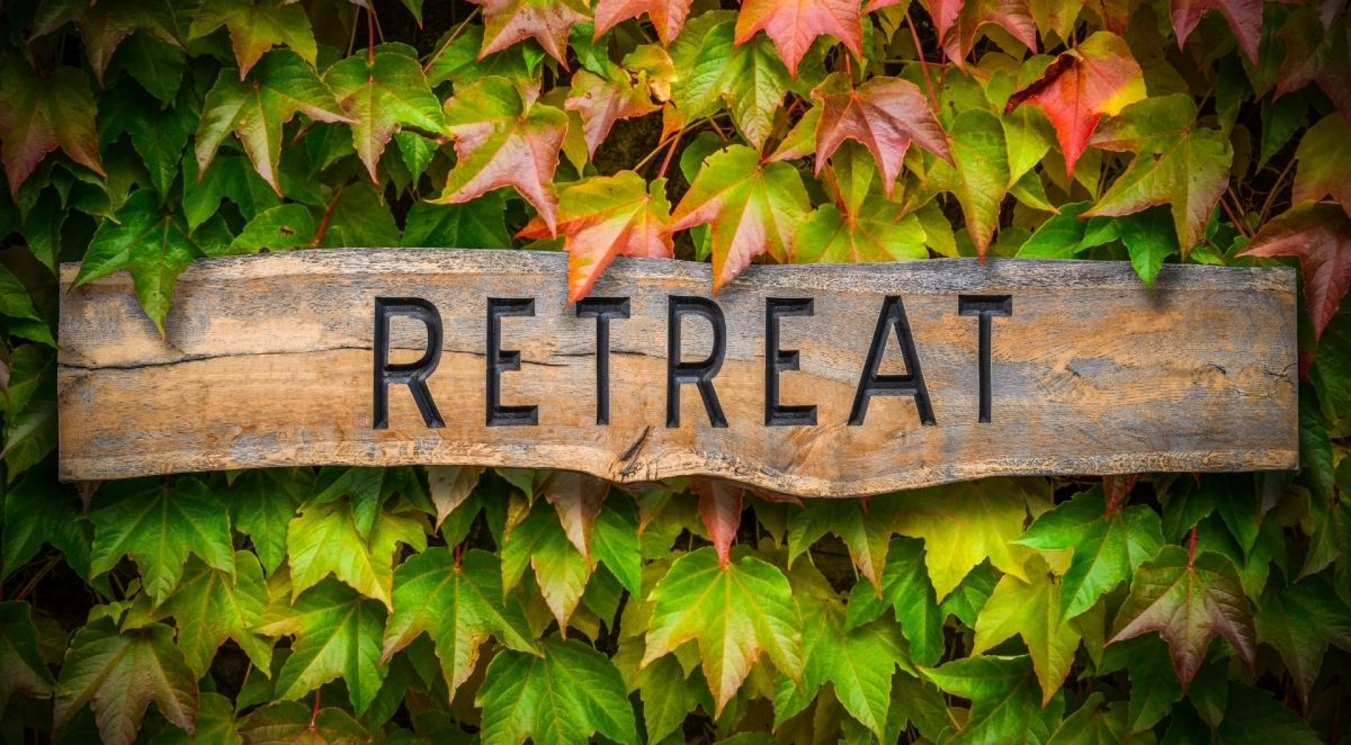 Five Tips for Planning Your Corporate Retreat