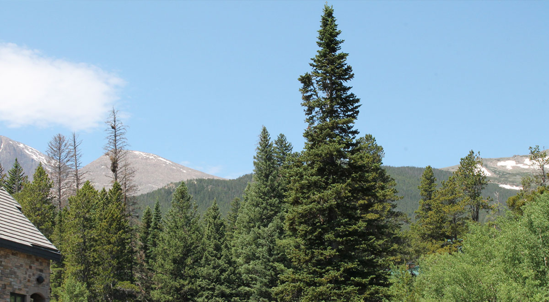 High Peak Camp Ultimate Guide for Choosing a Retreat Location